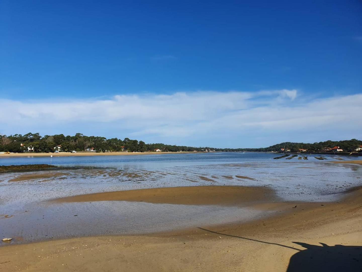 Terrasses Saint Georges - Un Emplacement Exceptionnel Au Centre-Ville Et Au Calme A Quelques Pas Du Lac Marin Soorts-Hossegor Eksteriør bilde